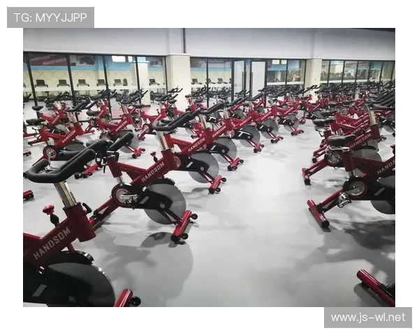 赛佰斯健身器材价格及功能介绍