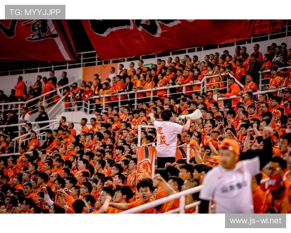 辽宁中超联赛票价信息与球迷反应