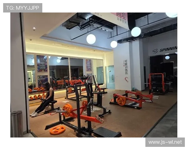 静音型综合训练设备:公寓楼家庭健身新标准