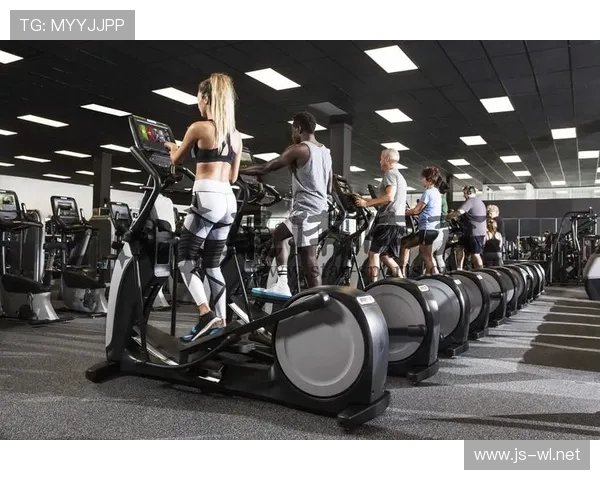 首都健身器材需求洞察：家庭场景与商用领域双轨并行