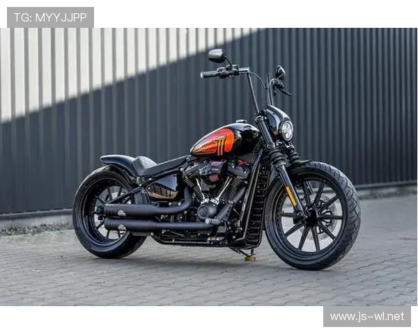 德甲球队“哈雷”是哪个？所属联赛与历史