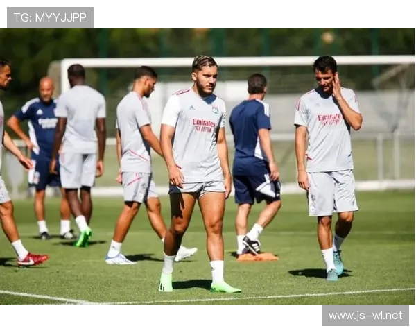 法甲青训计划执行效果及对俱乐部未来贡献分析